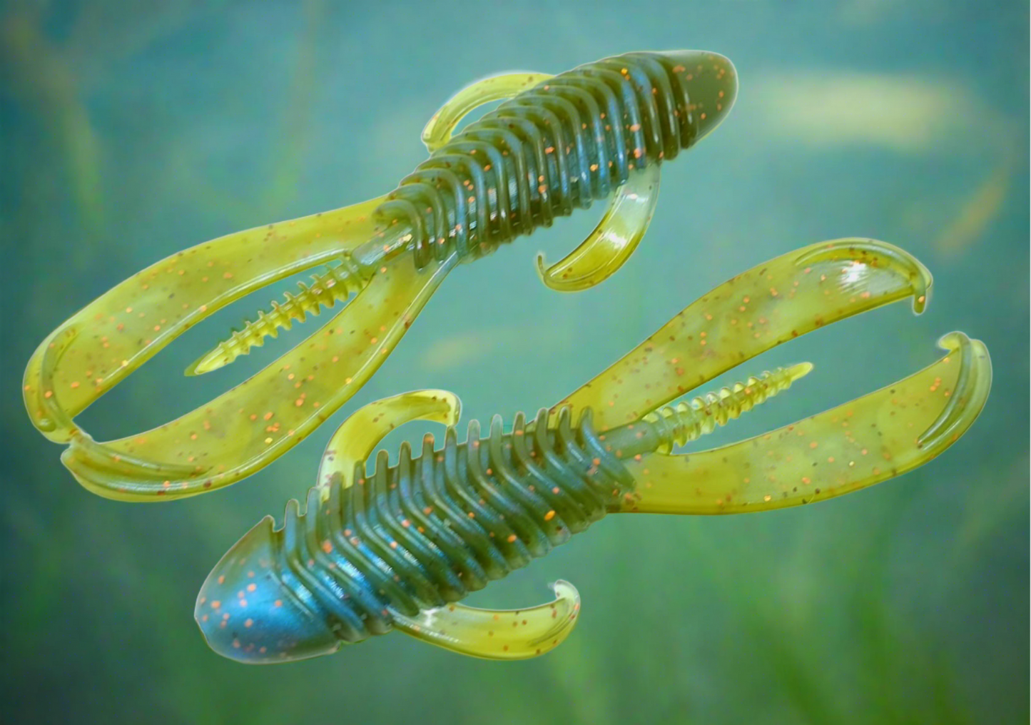 CR-2 Creature Beaugill 8 pack